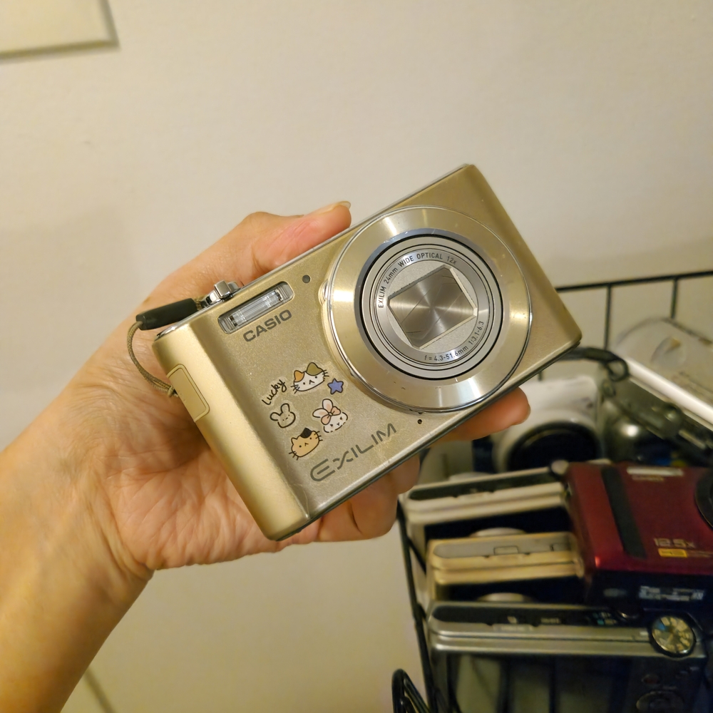 Casio Exilim Gold Digital Camera